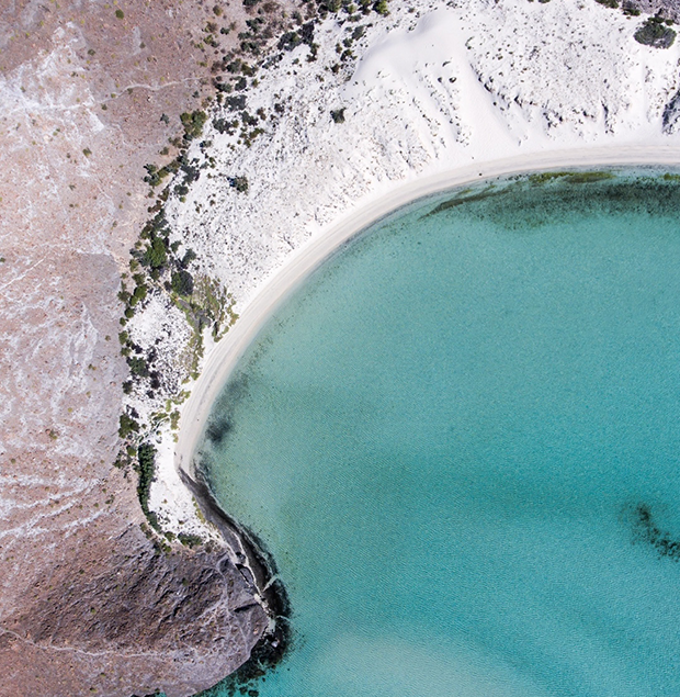 Balandra Beach La Paz